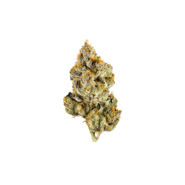 Orio Oreoz cannabis flower daily ounce 91g with 87 percent THC indica hybrid strain product
