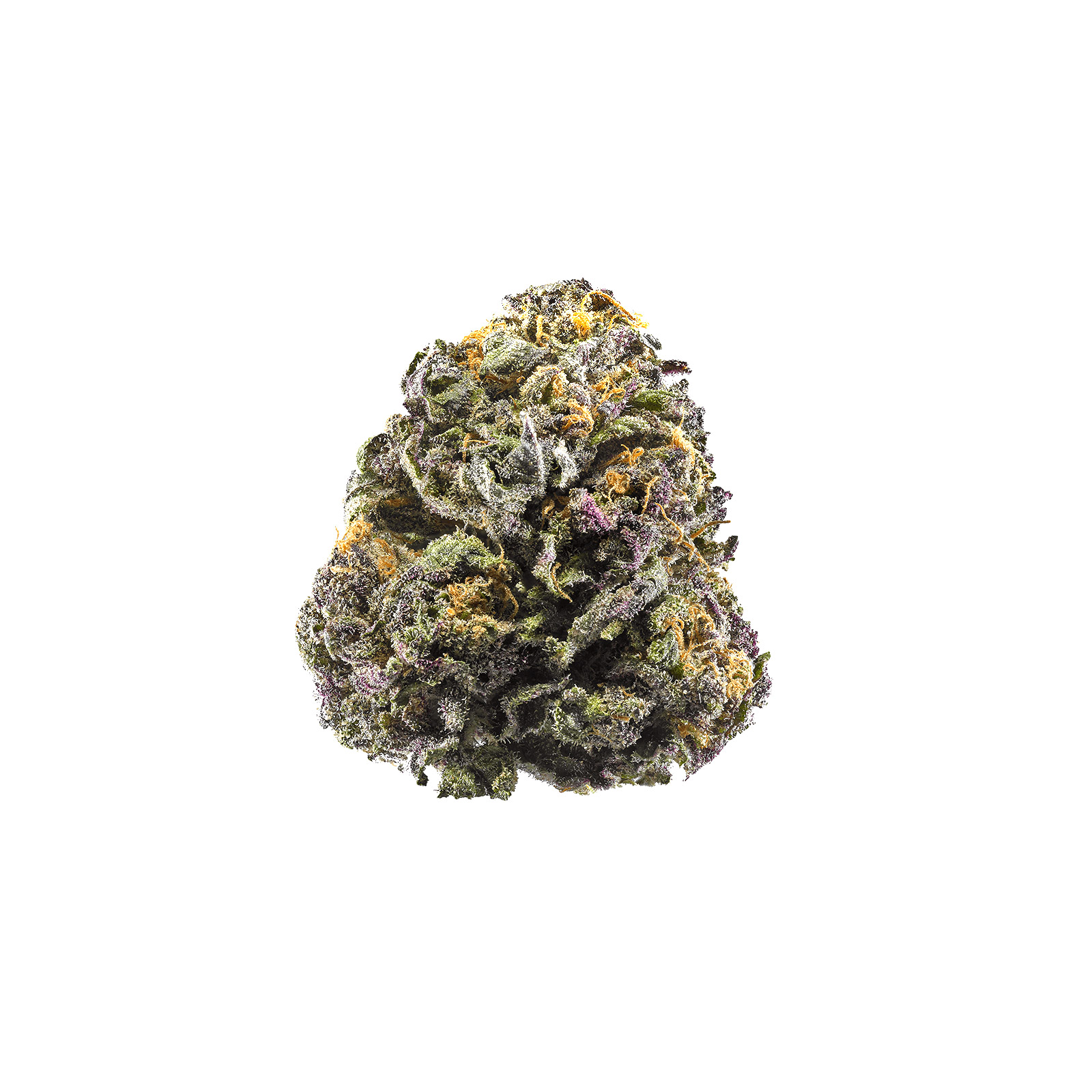 Grand Daddy Purple cannabis flower buds with deep purple hues and dense trichome coverage