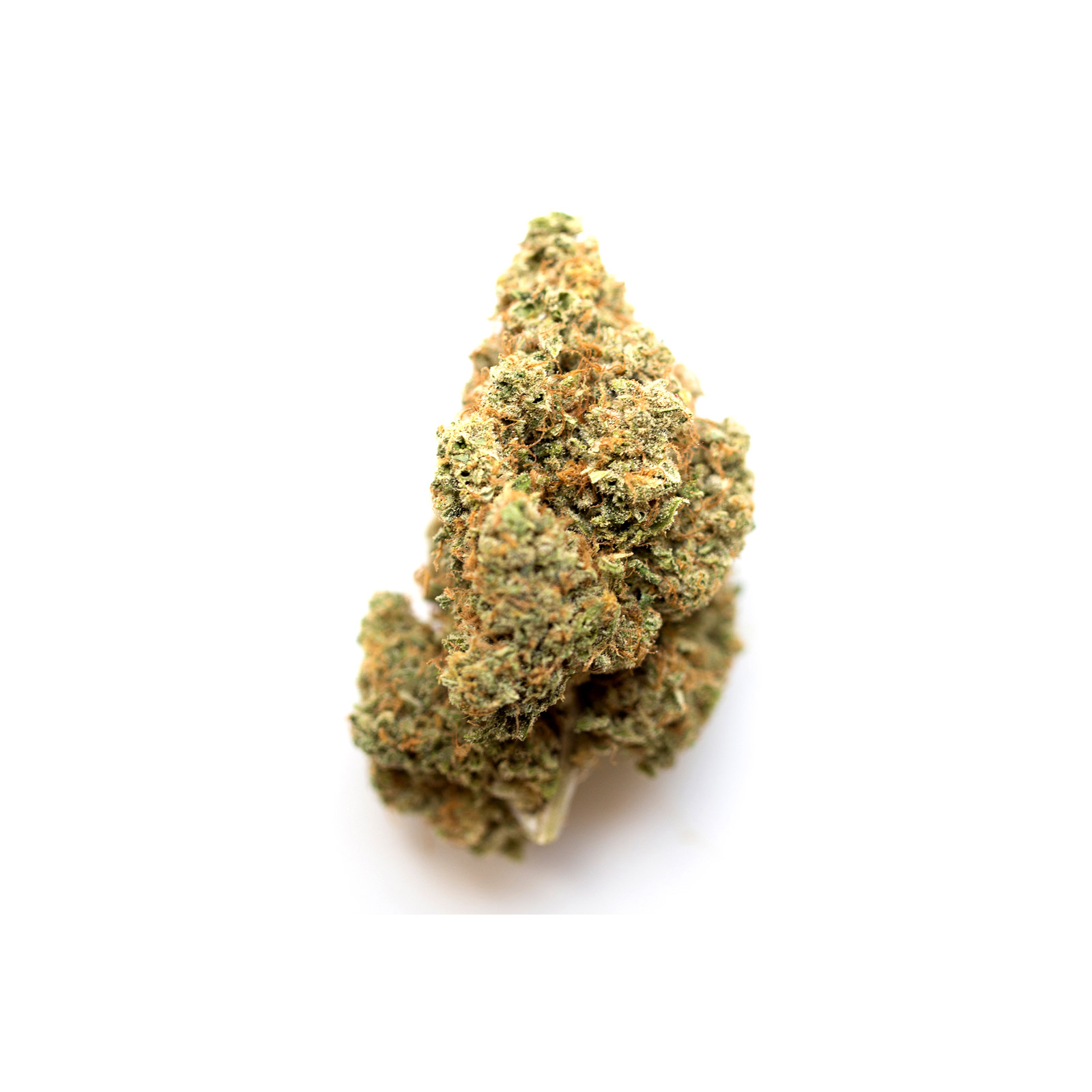 Panda OG | Creator's Choice