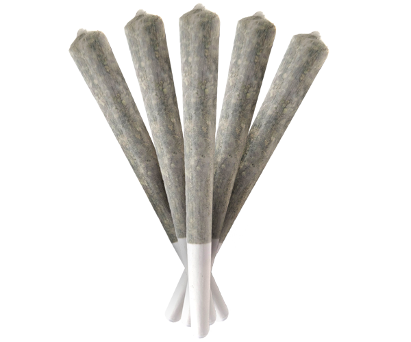 Five 1-gram cannabis pre-rolls arranged together, showing slim white paper joints ready for use