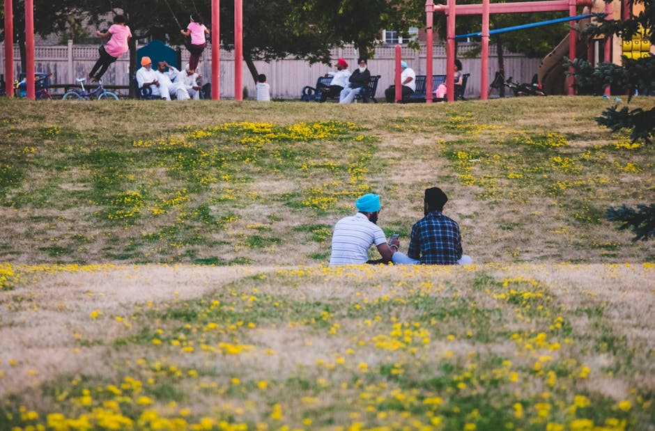 A peaceful afternoon in a vibrant park in Brampton with groups enjoying outdoor activities.