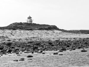Black and white lighthouse on a rocky Charlottetown PEI beach with wild coastal weeds in the foreground