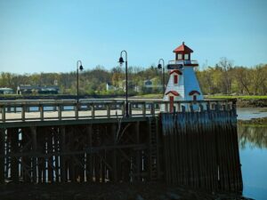 Fredericton weed growing along a riverbank in New Brunswick Canada