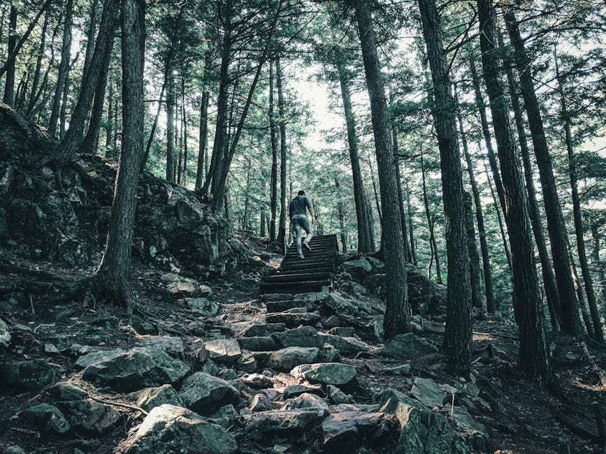 A lone hiker climbing a rocky trail in a lush forest setting, capturing the essence of adventure.