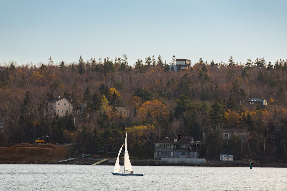 Serene view of a sailboat on Halifax Harbour with autumn foliage in the background.