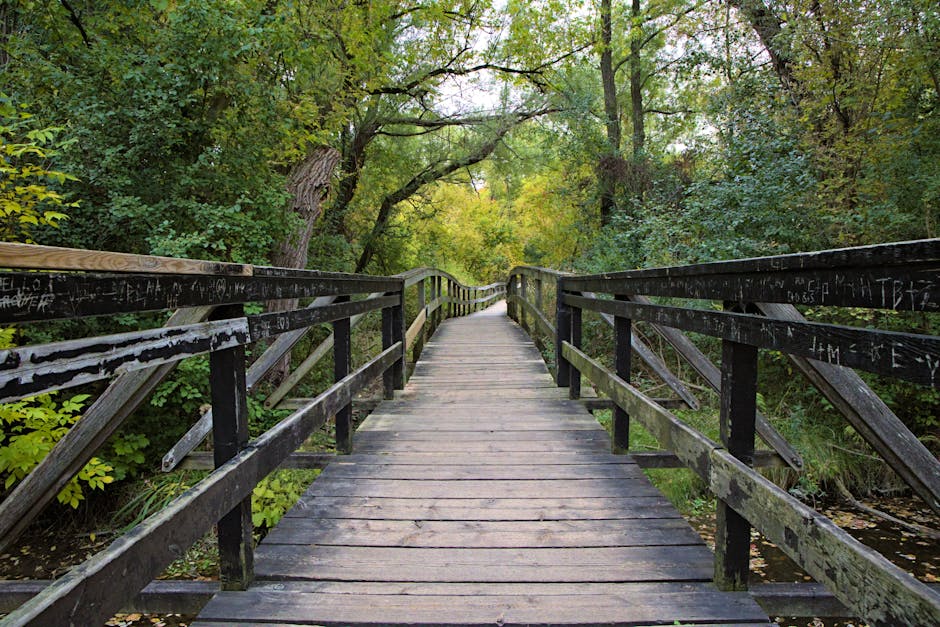 A serene wooden boardwalk through a lush forest in Markham, Ontario.