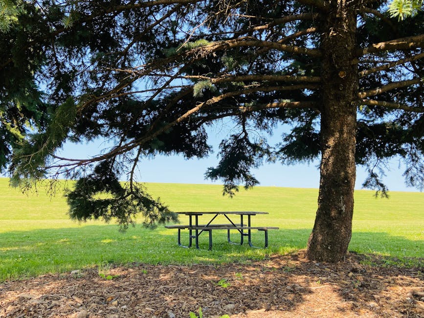 A tranquil picnic table under a lush evergreen tree in Markham, Canada.
