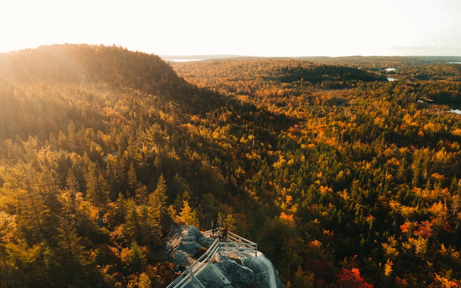 A breathtaking aerial view over a vibrant autumn forest in Musquodoboit Harbour, Nova Scotia, Canada.