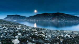 Nunavut weed growing wild against a rugged Arctic landscape under a moonlit sky