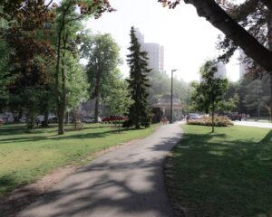 Lush green weeds growing naturally in an Ontario park setting near Niagara Falls urban landscape