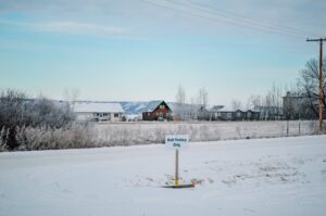 Regina Weed cannabis product packaging displayed against a clean background