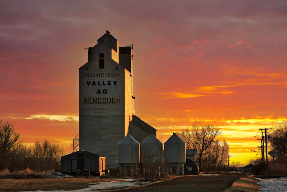 Grain elevator in Bengough, Saskatchewan silhouetted against a vibrant sunset.