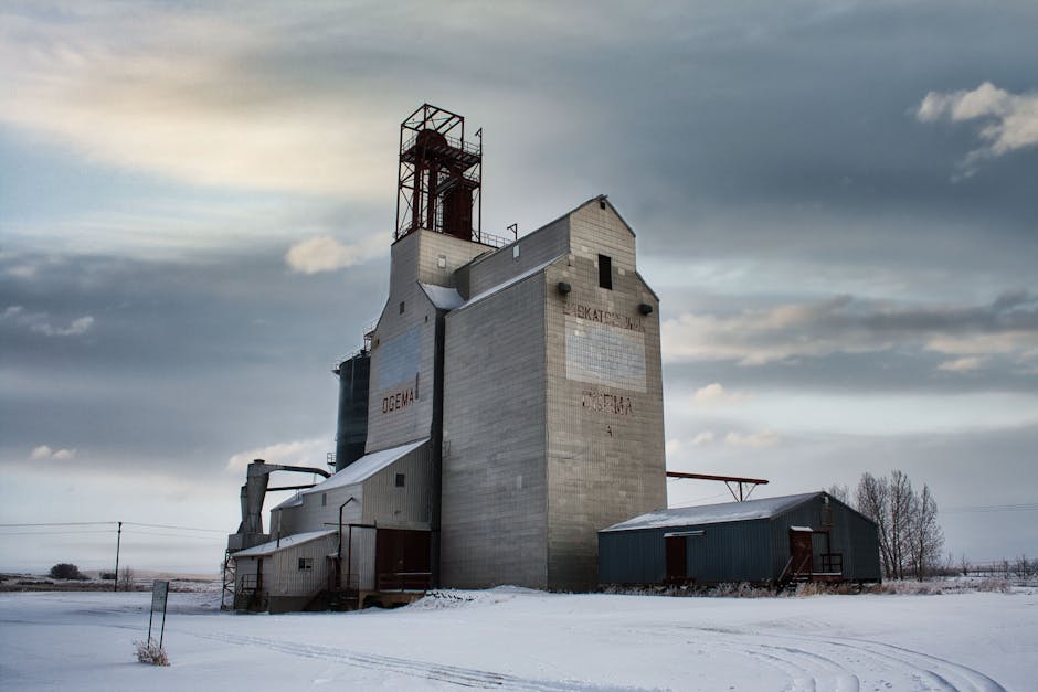 A historical grain elevator sits in a snowy field under a cloudy winter sky.