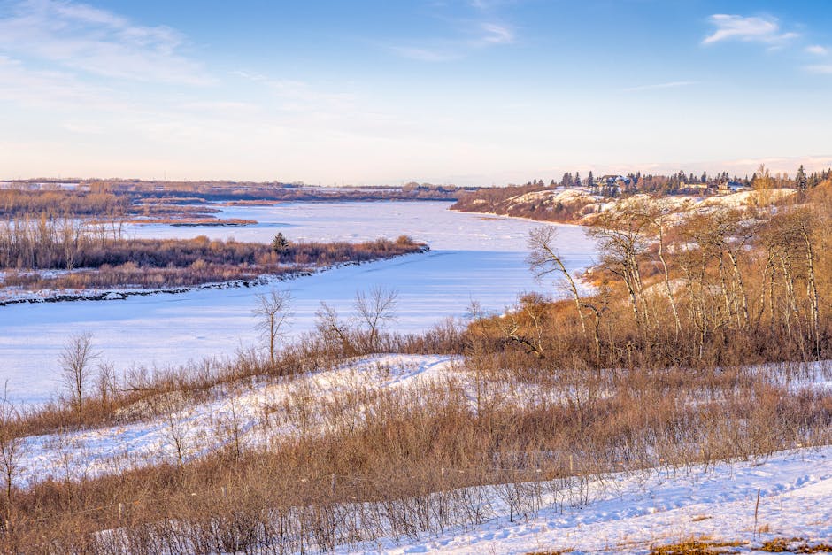 A serene winter view of the South Saskatchewan River in Saskatoon, Canada, with snow-covered banks and trees.