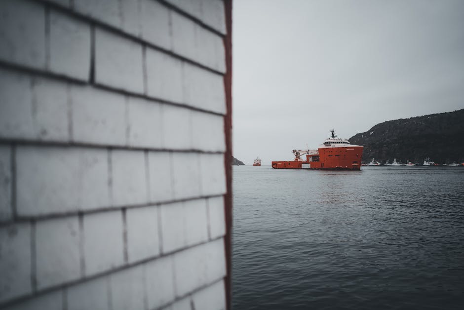 Red ship on Newfoundland bay with rugged coastline and overcast sky.