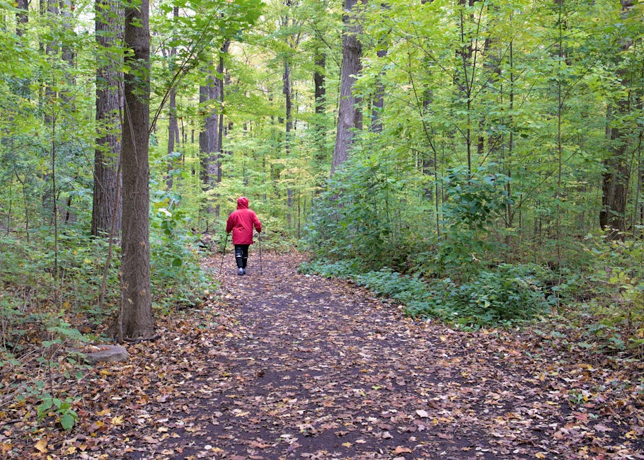 A person in a red jacket enjoys nordic walking on a lush forest trail in Vaughan, Ontario.
