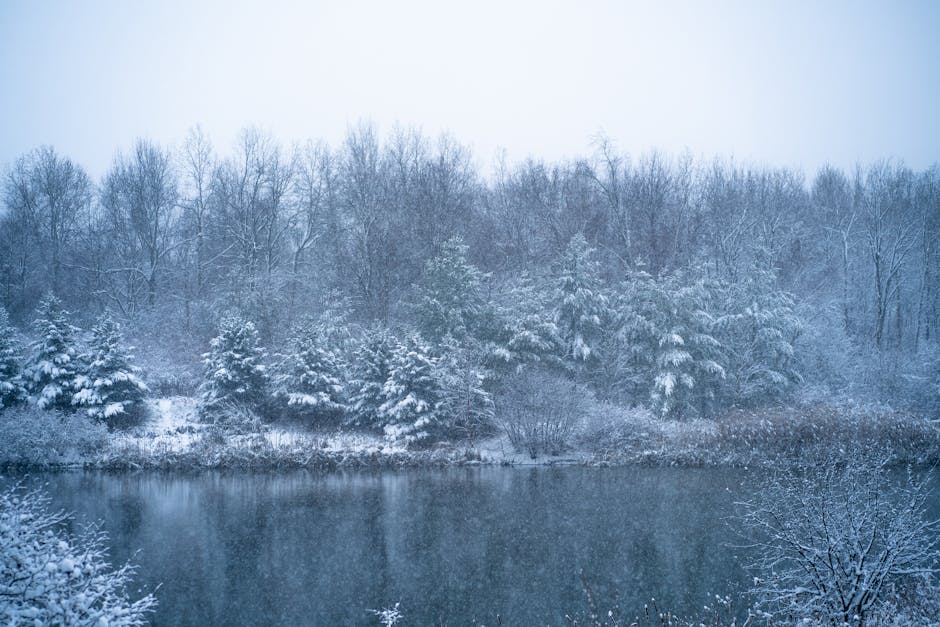 A tranquil winter scene with snow-covered trees and a peaceful lake in Vaughan, Canada.