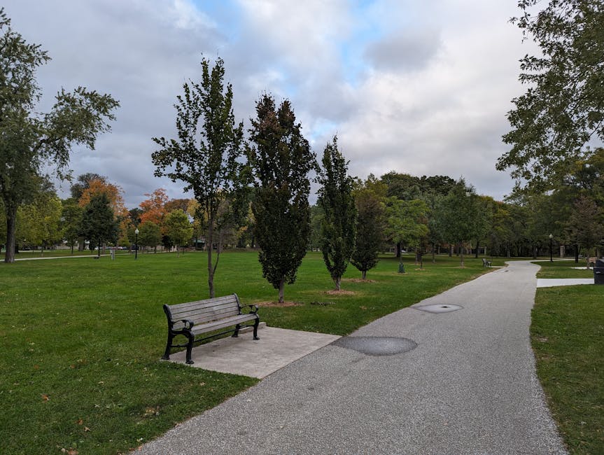 A peaceful park scene with an empty bench and pathway amidst autumn foliage.