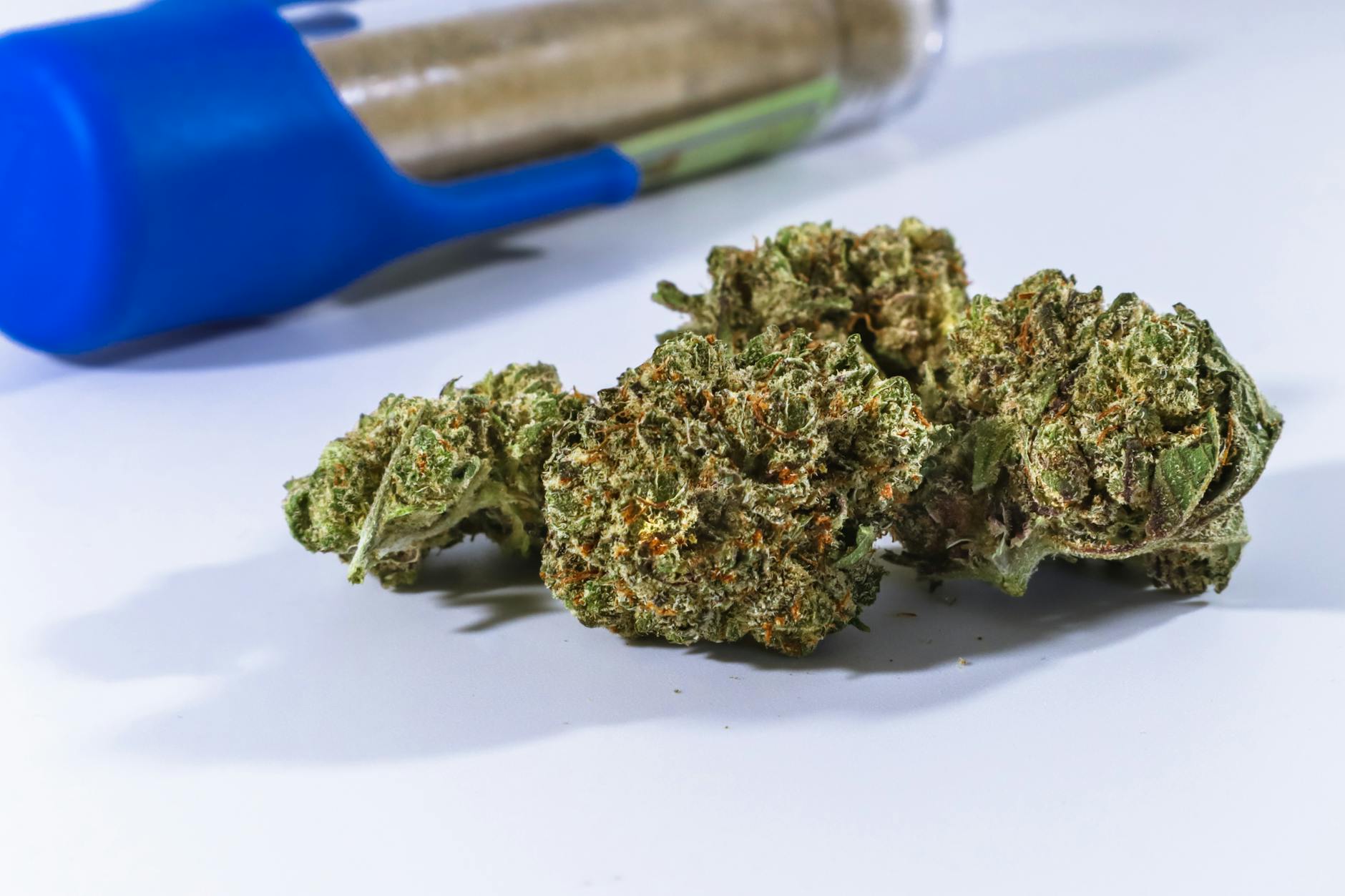 best indica vape strain for sleep 7 Strains Deep in Canada (2026) C4 - Energy Jolly simple starter kit Version:Cyber Lime