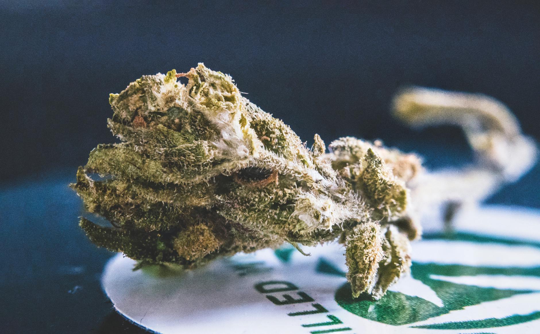 Best Hash You Can Buy Online in Canada (2026 Guide)