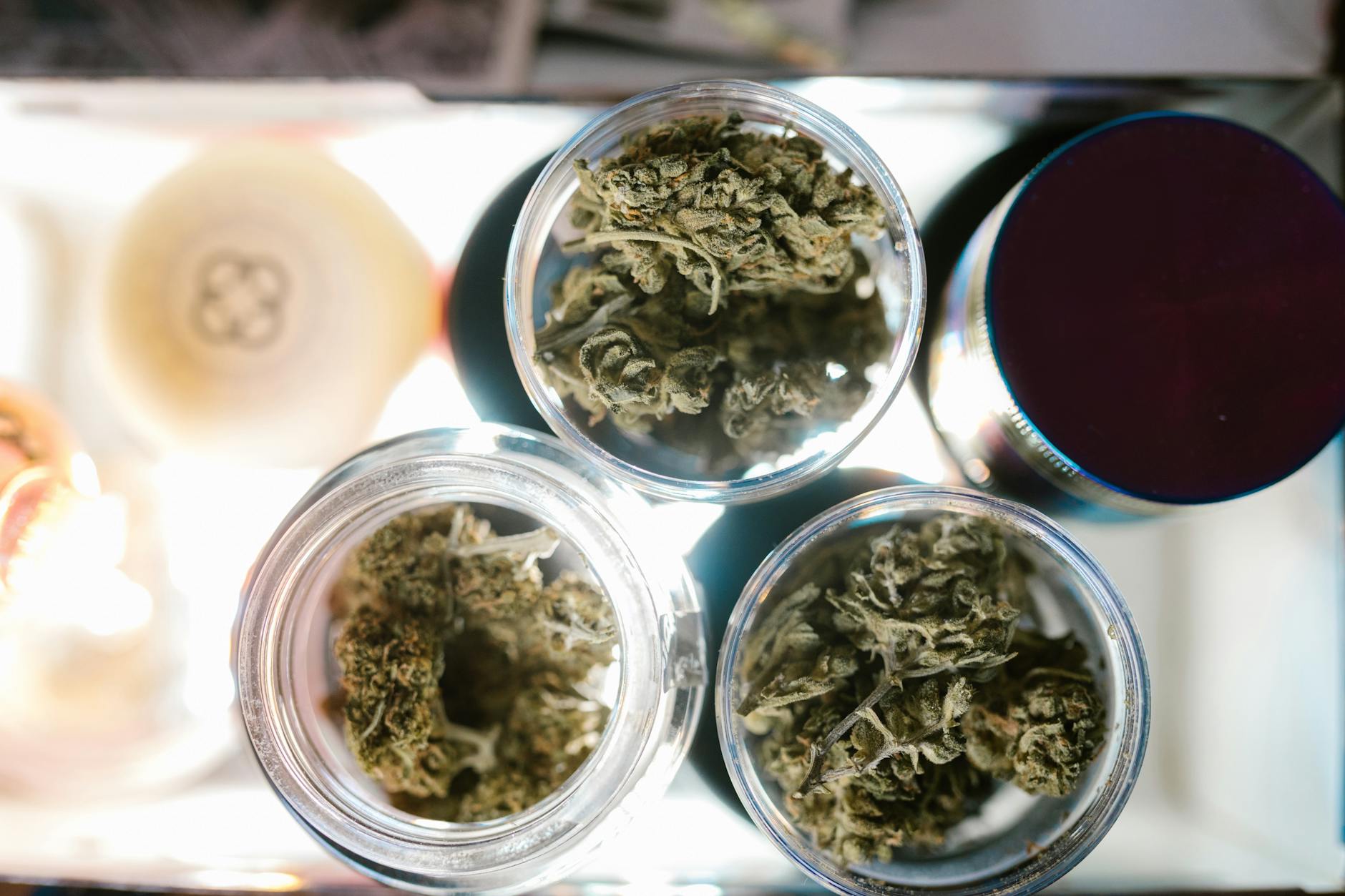 Best Online Dispensaries That Ship to Alberta