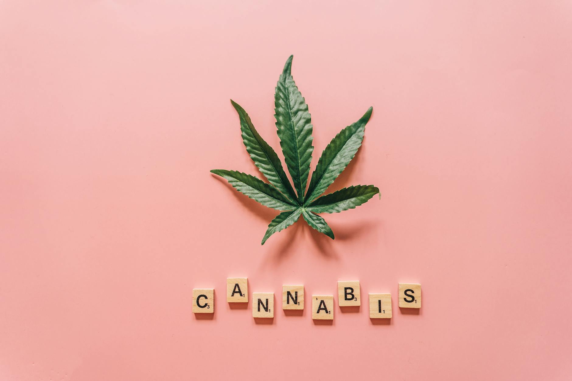 Cannabis for PTSD: What the Research Says and Best Products